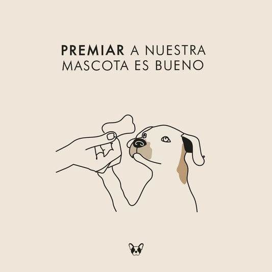 Premiar a nuestra mascota es bueno