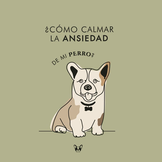 ¿Como calmar la ansiedad de mi Perro?