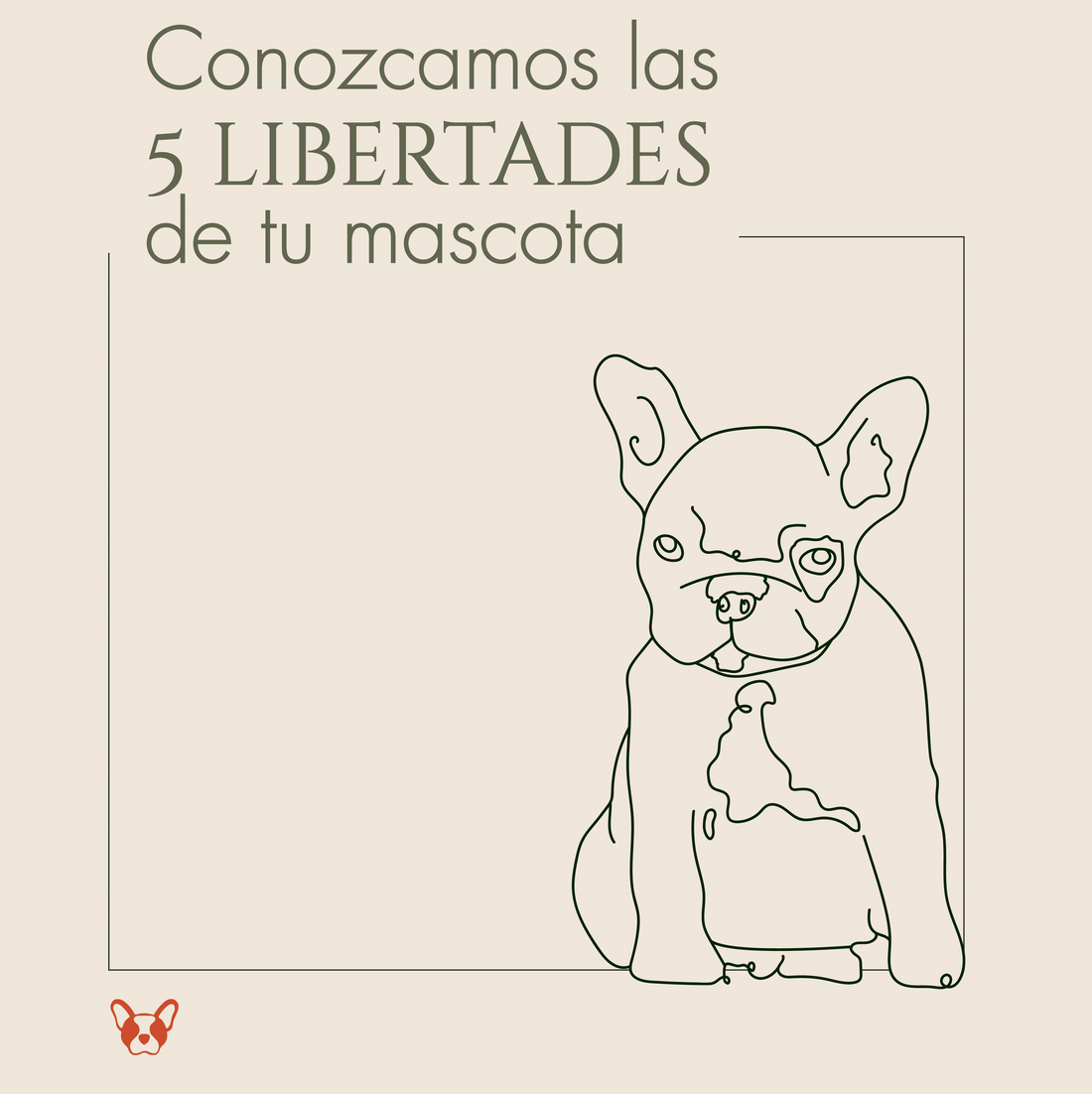 Conozcamos las 5 libertades de tu mascota