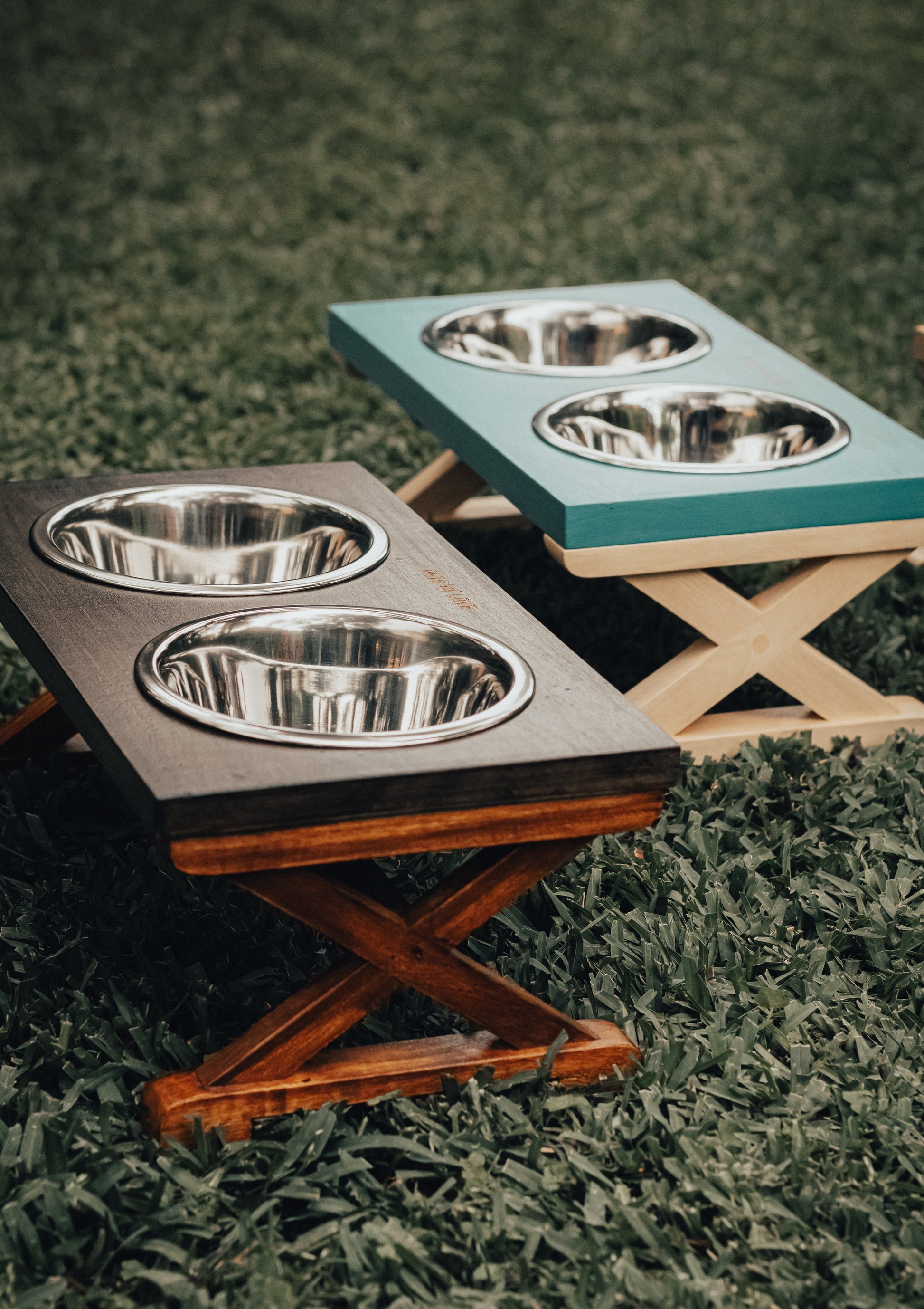 Platera para perros guatemala